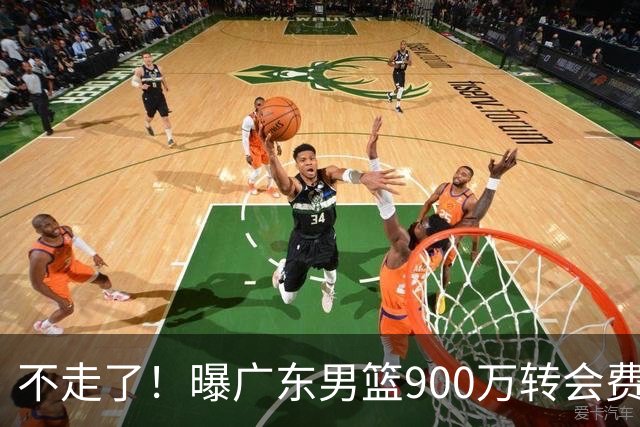 不走了！曝广东男篮900万转会费签下昔日状元内线，杜锋拒绝摆烂